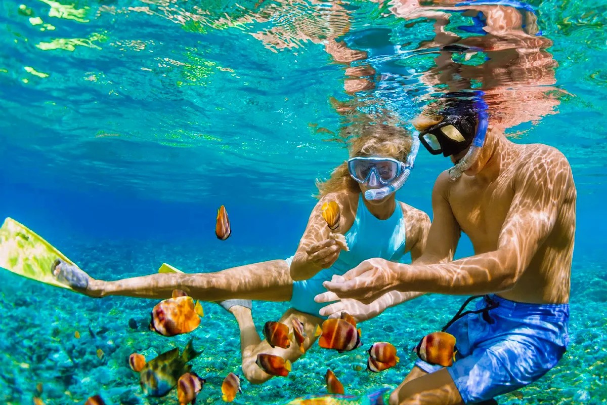 Snorkeling Trip At Port Ghalib Marina from Marsa Alam