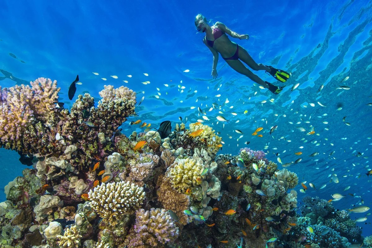 Scuba diving Sharm El Sheikh