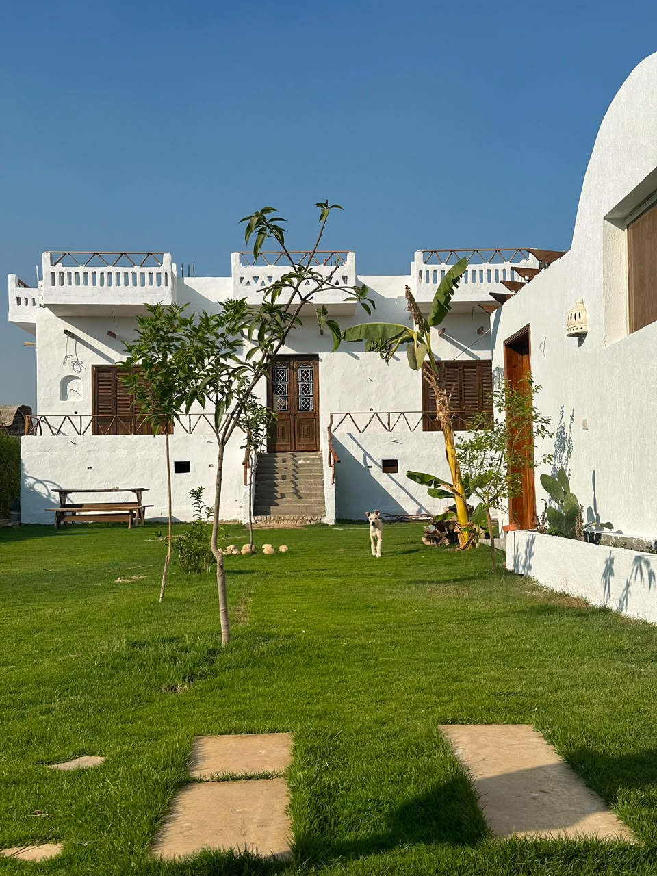 King Sahure Pyramids View Inn — 6